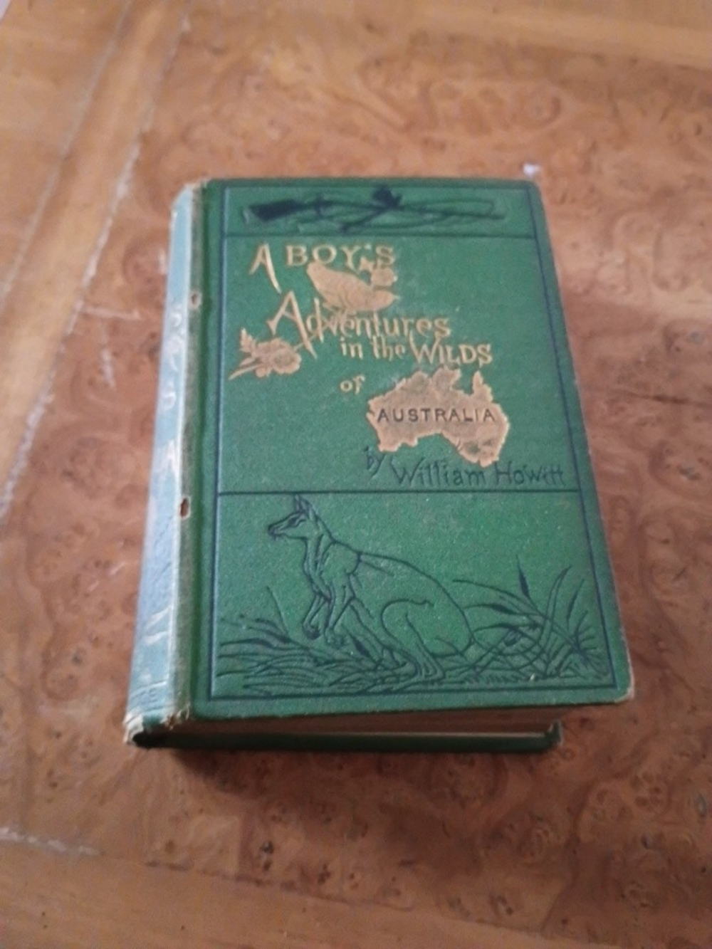 Antique Book A Boys Adventures In The Wild
